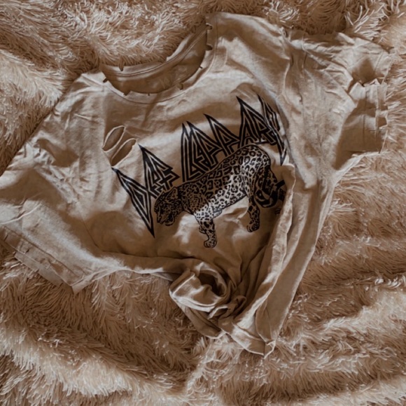 Def Leppard Crop Tee ⚡️ - Picture 1 of 4